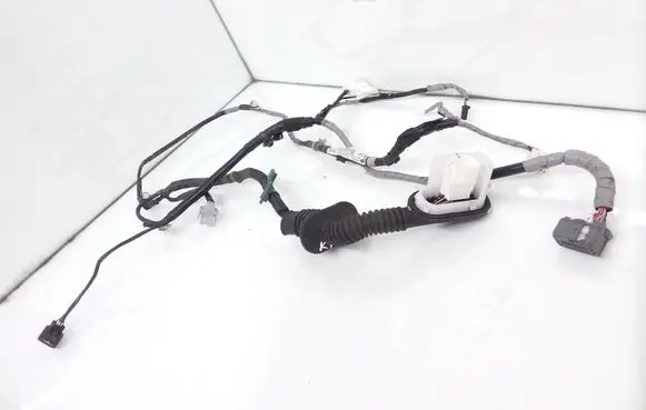 Front door wiring loom