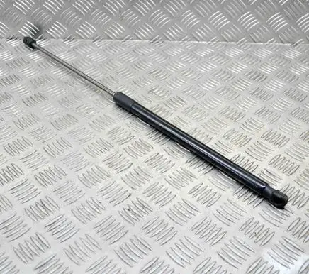 Tailgate/trunk strut/damper