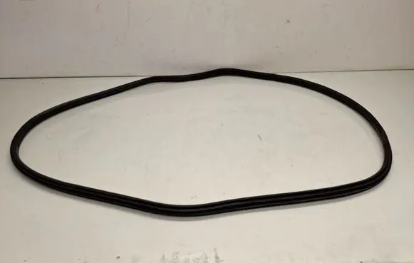 BMW X1 F48 F49 Front door rubber seal 7349628