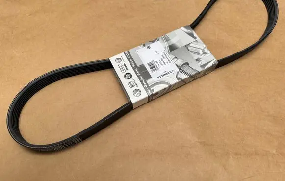 Audi A3 S3 8P Alternator belt 03G903137B