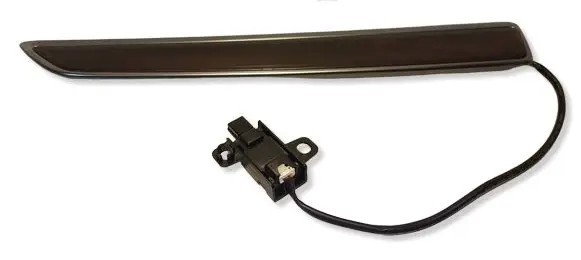 Renault Koleos II Other rear door trim element 809095125R