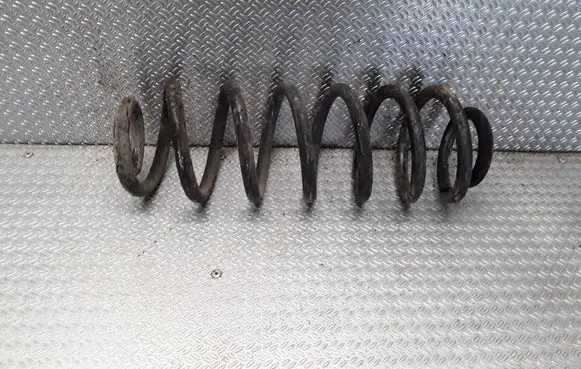 Volkswagen PASSAT B6 Rear coil spring