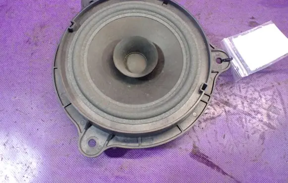 Front door speaker