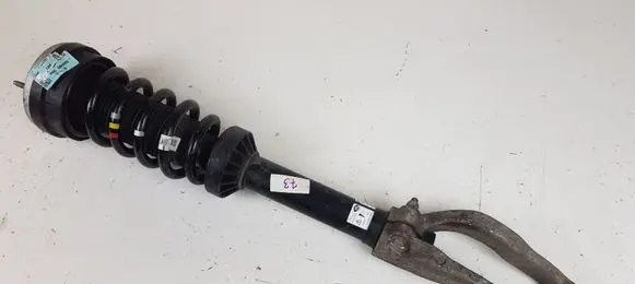 Jaguar F-Pace Front shock absorber with coil spring HK8318B036ME