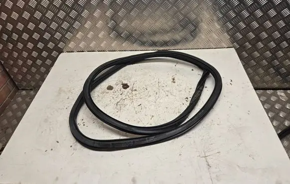 Audi A4 S4 B9 Front door rubber seal 8W0831721