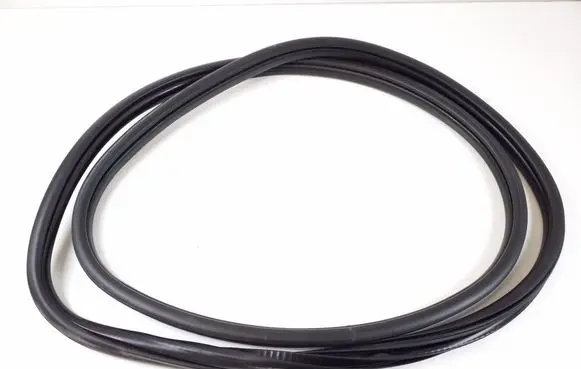 BMW 2 F45 Front door rubber seal 7298882