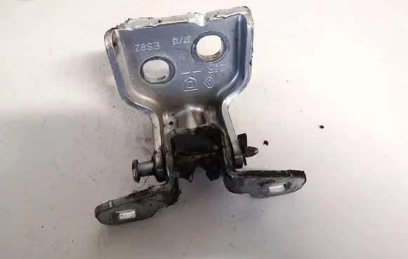 Dacia Sandero Rear door lower hinge