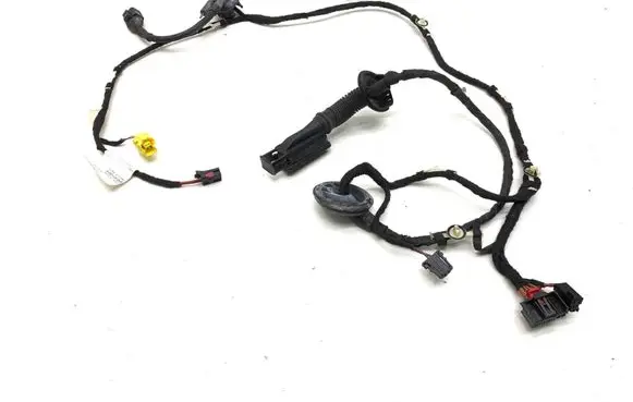 Audi Q5 SQ5 Front door wiring loom 8R1955407B