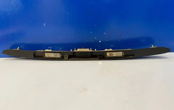 Trunk door license plate light bar