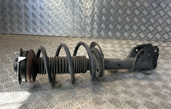 Chrysler Pacifica Front shock absorber/damper
