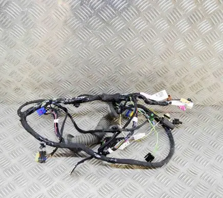 Tesla Model X Front door wiring loom 103244000G