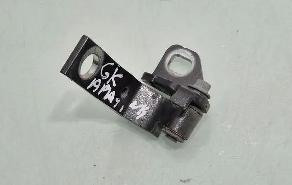 Ford Focus Rear door lower hinge