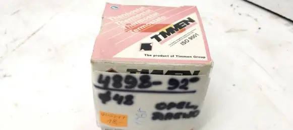 Ford Escort Thermostat 4898