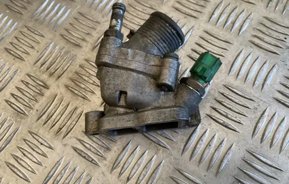 Thermostat/thermostat housing