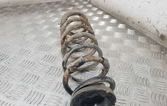 Skoda Fabia Mk1 (6Y) Rear coil spring