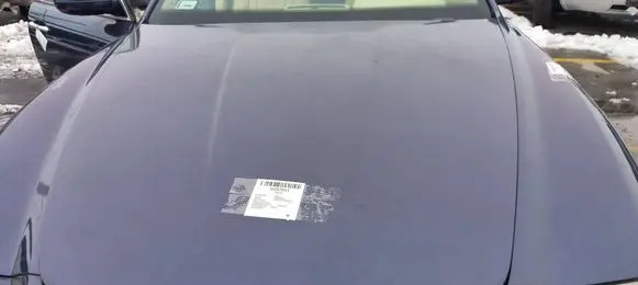 Engine bonnet/hood