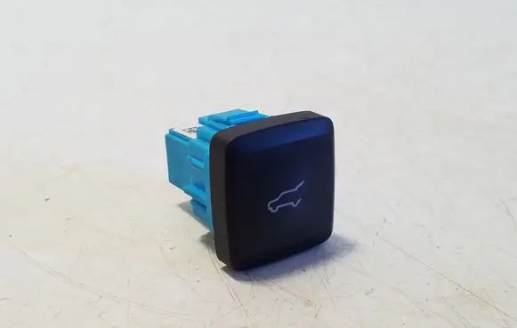 Tailgate opening switch
