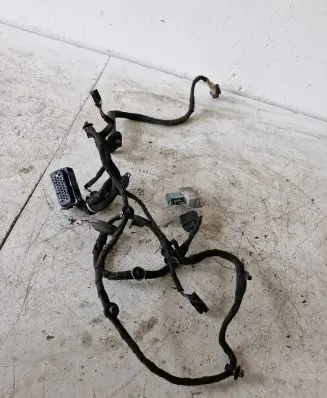 Volkswagen Golf IV Front door wiring loom