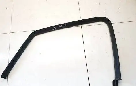 Other front door trim element