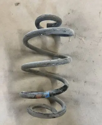 Rear coil spring