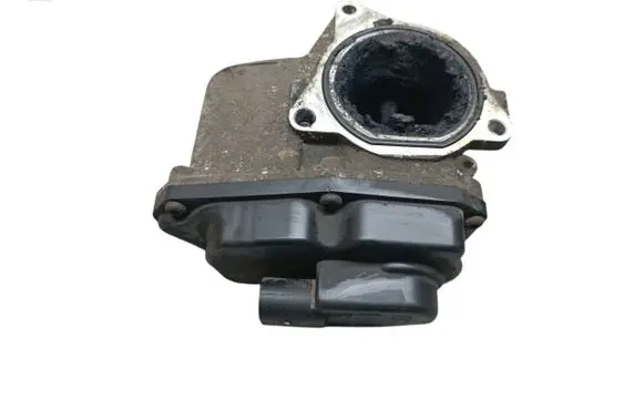 Volkswagen PASSAT B6 EGR valve 03G131501P 33692567