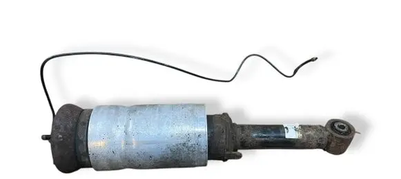 Land Rover Range Rover Sport L320 Air suspension front shock absorber 22257273