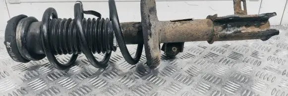 Opel Ampera Front shock absorber/damper 13329596
