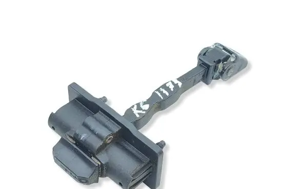 Citroen C4 III e-C4 Rear door check strap stopper 