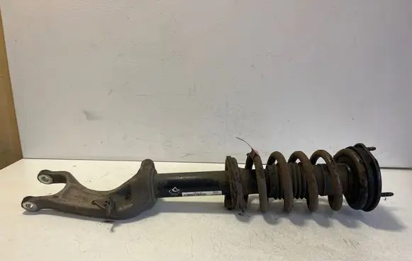 Tesla Model S Front shock absorber with coil spring 103060701C
