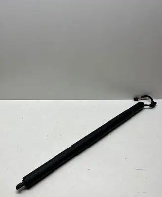 Tailgate/trunk strut/damper