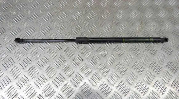 Tailgate/trunk strut/damper