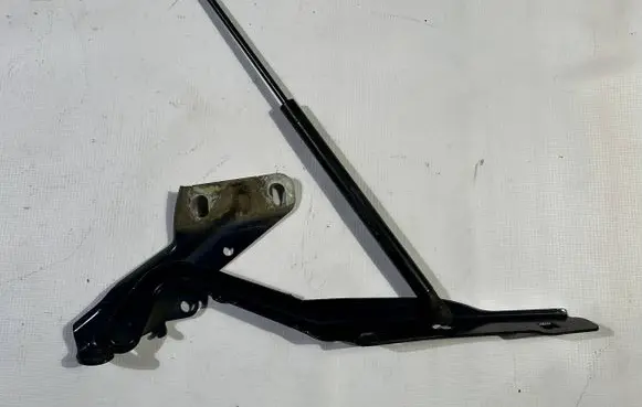 Dodge RAM 1500 DS Engine bonnet/hood hinges ZSDGR2009