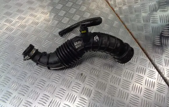 Renault Megane III Air intake hose/pipe 200750731