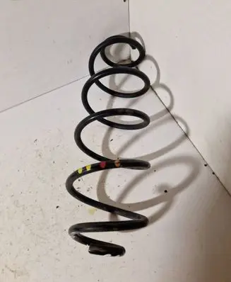Rear coil spring