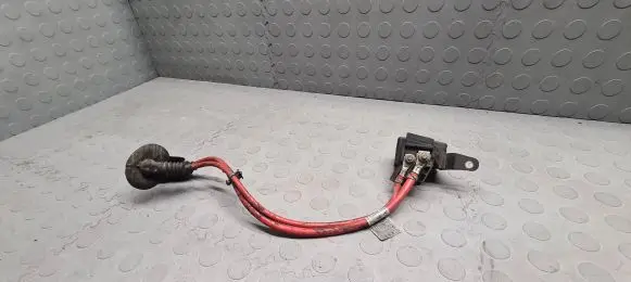 BMW 3 E46 Positive wiring loom 6910542