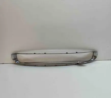Mini Cooper Countryman R60 Front grill 9804005
