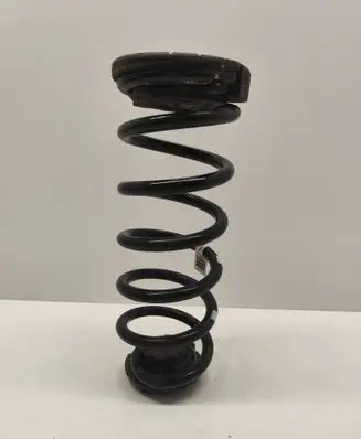 Rear coil spring