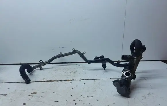 Citroen C5 EGR valve