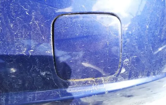 Nissan Almera N16 Rear bumper row hook cap/cover 