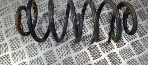 Rear coil spring