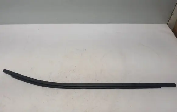Dacia Sandero III Rear door trim (molding) 828202029R
