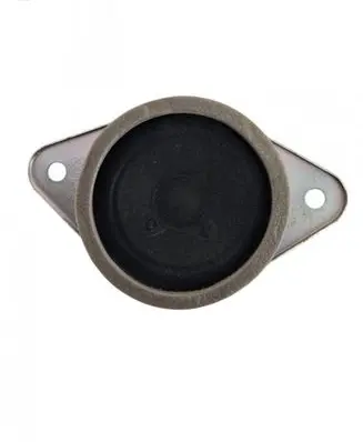 KIA Sorento Front door speaker S750727