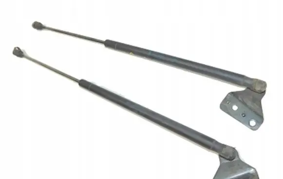 Ford Focus C-MAX Tailgate strut 