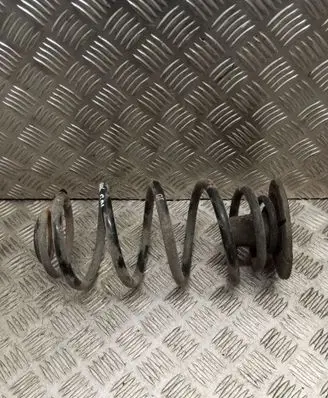 Rear coil spring
