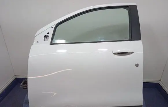 Dacia Lodgy Front door 