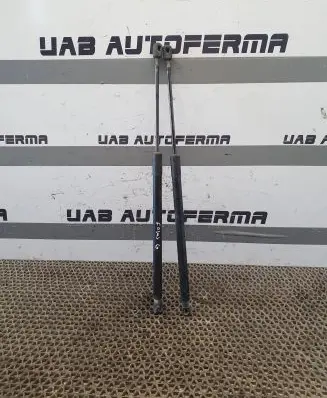 Ford Focus Tailgate/trunk strut/damper BM51N406A10AC