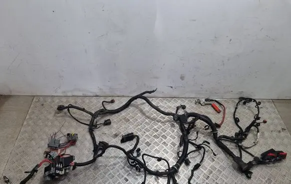Volvo S80 Other wiring loom 6G9T14603