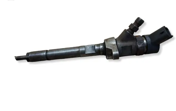 Citroen C4 I Fuel injector 0445110239