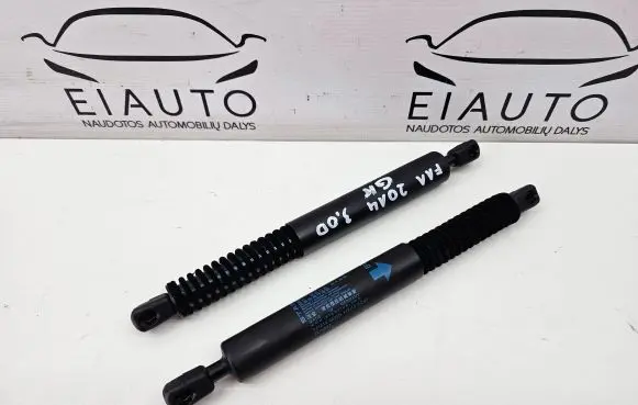 BMW 5 F10 F11 Rear window strut damper 7210557