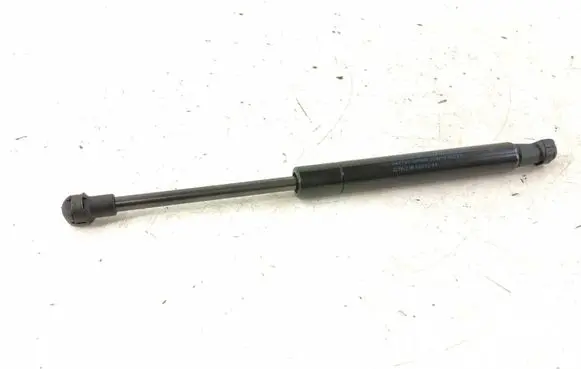 Tailgate strut